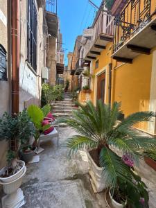 an alley with a bunch of plants and buildings at Casa Nica in Naro