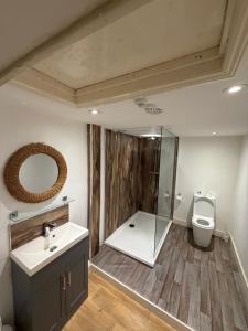 a bathroom with a shower and a toilet and a sink at 12A Regency Square in Brighton & Hove +29 photos