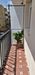 a balcony with a potted plant on the side of a building at Espectaculares Aptos Castillo de Bellver in Camas