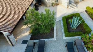 an overhead view of a garden with a cactus at Heritage Villa Cranzetti in Svetvinčenat
