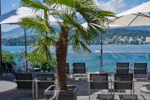 een palmboom op een patio naast het water bij HERMITAGE Lake Lucerne - Beach Club & Lifestyle Hotel in Luzern