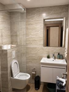 a bathroom with a toilet and a sink at apartment Danijela in Radanovići +9 photos