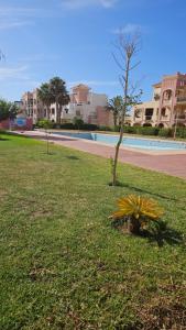 a palm tree in a park next to a pool at Villa lux AP2 in Saïdia