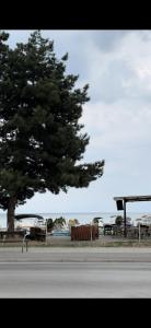 a tree and benches on the side of a road at Villa Nesim in Struga