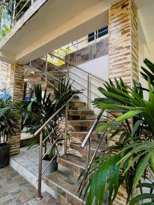 a staircase in a house with plants at Hostal La Bendición Buritaca in Santa Marta +16 photos