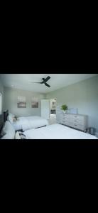 a bedroom with two beds and a ceiling fan at Teika comfort in Kingston +14 photos