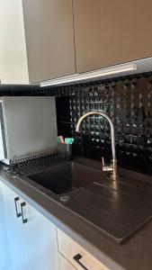 a kitchen counter with a sink and a stove at Monic Apart Zefir in Mechelinki