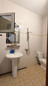 a bathroom with a sink and a toilet and a mirror at Adelhouse in Saint-Louis
