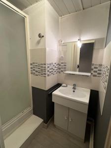 a white bathroom with a sink and a shower at T2 mansardé tout équipé in Limoges