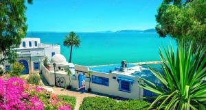 a house with a view of the water at Sidi studio 8bis in Sidi Bou Saïd