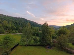 an aerial view of a field with trees and a road at Apartament w Bieszczadach in Wołkowyja