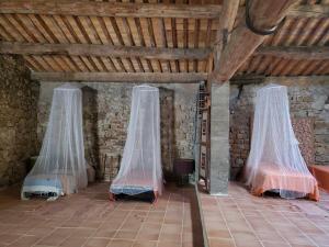 three beds in a room with mosquito nets at Aux Mimosas in La Tour-sur-Orb