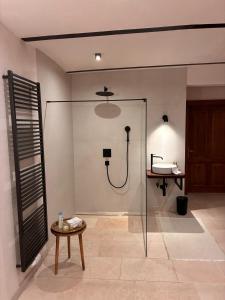 a glass shower in a bathroom with a sink at Leichtfried 1884 - Boutique Appartments in Möbersdorf