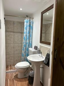 a bathroom with a toilet and a sink and a mirror at EstadiaMalargue in Malargüe