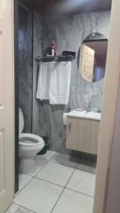 a bathroom with a toilet and a sink and a mirror at mi casa tropical in Hacienda Santa Clara +24 photos