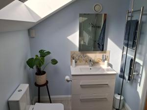 a bathroom with a sink and a mirror at The Old Saw Mill in Llangunllo +13 photos