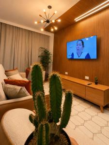 a living room with a tv and a cactus at Apartamento Premium Centro 103 in Foz do Iguaçu
