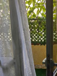 a window with a white curtain and a plant at Golf paradis in Oran +30 photos