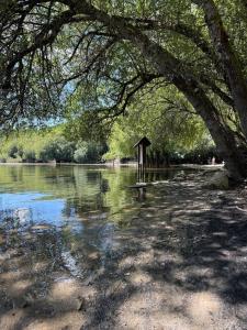 a sign in the middle of a river under a tree at Casa do camiño in Villariño