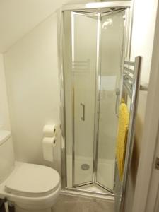a glass shower in a bathroom with a toilet at Eastern Lodge 11B in Lymington