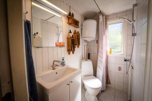 a small bathroom with a toilet and a sink at Holiday house close to nature in Glesborg +23 photos