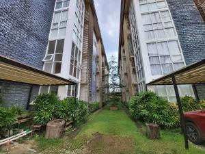 a courtyard between two tall buildings with a yard at DASIG Homes1 near airport, Bayanihan Flats 1 Condominium Mactan in Pajak
