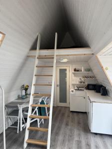 a loft bed in a kitchen with a ladder at Han's Solo 75 in Athenry