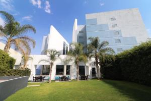a building with palm trees in front of it at Holiday Inn Express San Luis Potosí by IHG in San Luis Potosí