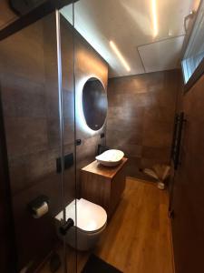 a bathroom with a toilet and a glass shower at Glamping Hynkov in Příkazy +30 photos