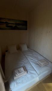 a bed with two pillows on it in a room at Glamping Hynkov in Příkazy