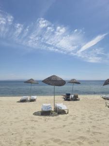 a group of chairs and umbrellas on a beach at Ocaklar Torunlar Apart in Erdek