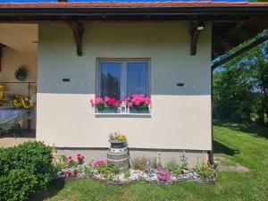 a house with a window with flowers in it at 3a kuca Bajevac in Bajevac
