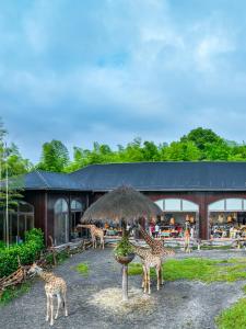 a group of giraffes standing in front of a building at HuzhouGiraffe ManorHotel in Huzhou