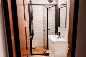 a bathroom with a shower and a sink and a mirror at Apartament Ritmului in Zalău