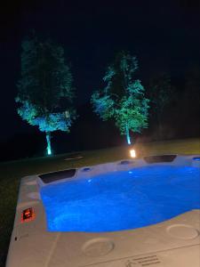 a swimming pool at night with two trees in the background at Das Freyenstein in Berghof