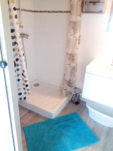 a bathroom with a shower with a blue rug at gîte des eiders 5 mn de la plage in Quiberon
