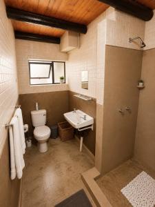 a bathroom with a toilet and a sink at Singwe Private Safari Lodge Kruger in Marloth Park