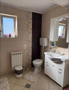 a bathroom with a sink and a toilet and a mirror at Shangai apartman in Belgrade