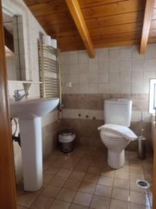 a bathroom with a white toilet and a sink at Kratounis Apartment 1 in Oikonomiánika