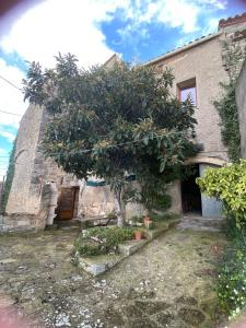 a house with a tree in front of it at Cal Rabell in Bellmunt