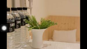a group of bottles of water and a plant in a vase at Kenting Orange Homestay in Hengchun