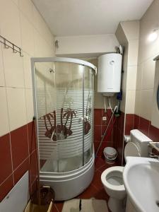 a bathroom with a shower with a spider in it at Coolbnb Apartment Tetovo in Tetovo