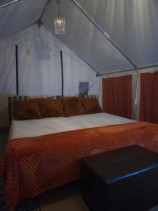 a bedroom with a bed in a tent at Starlit Jasmine in Christiansted