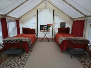 a room with two beds and a tv in a tent at Starlit Jasmine in Christiansted
