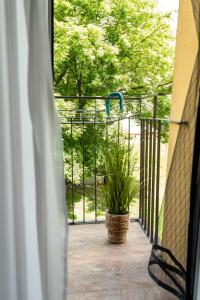 a porch with a gate and a potted plant at Apartament Targowa 9A41 in Uniejow