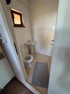 a bathroom with a toilet and a sink at Casa cu şemineu in Păuşa +9 photos