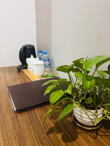 a laptop computer sitting on a wooden table with a plant at Thach An Hotel in Ðông Khê