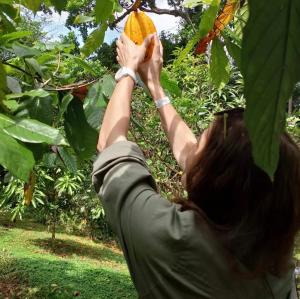 a woman is holding a leaf in a tree at Cabinas Toucan in Chachagua +15 photos