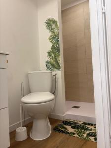 a bathroom with a toilet and a shower at Escale Tropicale in Lectoure