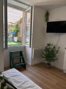 a room with a bed and a tv and a window at Escale Tropicale in Lectoure